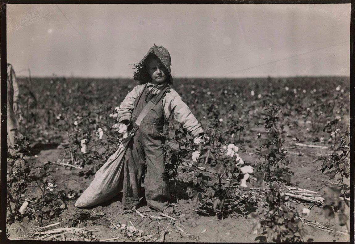 Child Picking Cotton